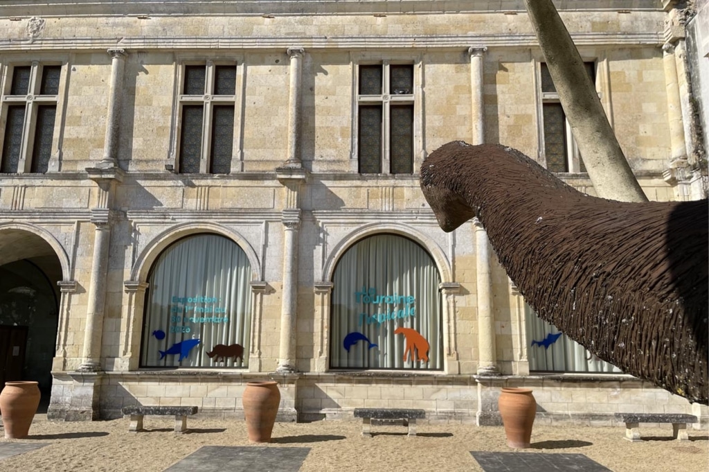 3 vitrophanie tourainepropicale trompe mammouth