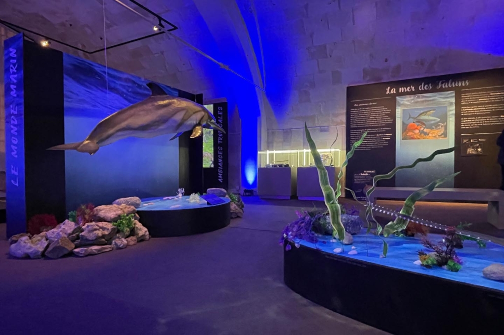 expo tourainetropicale grandpressigny 0000 calque 32