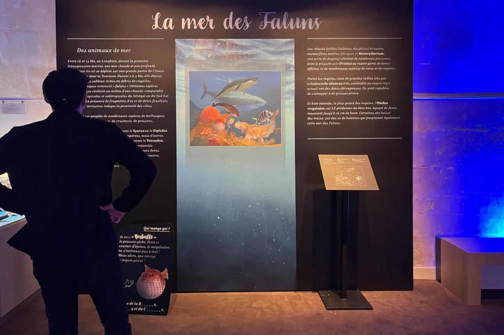 expo tourainetropicale grandpressigny 0010 calque 17