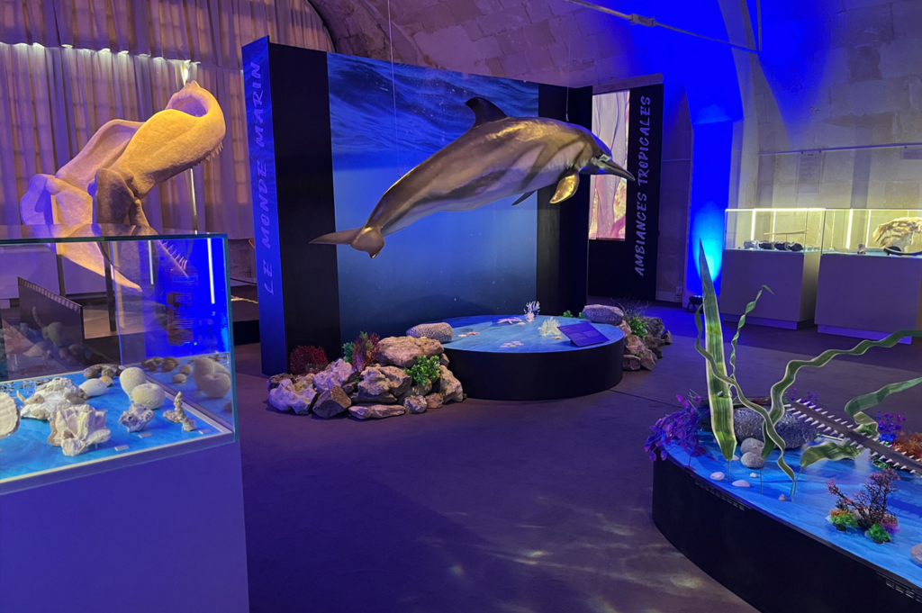 mer tourainetropicale miocene