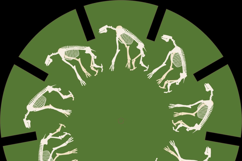 phenakistiscope mediationmusee 0001 calque 5