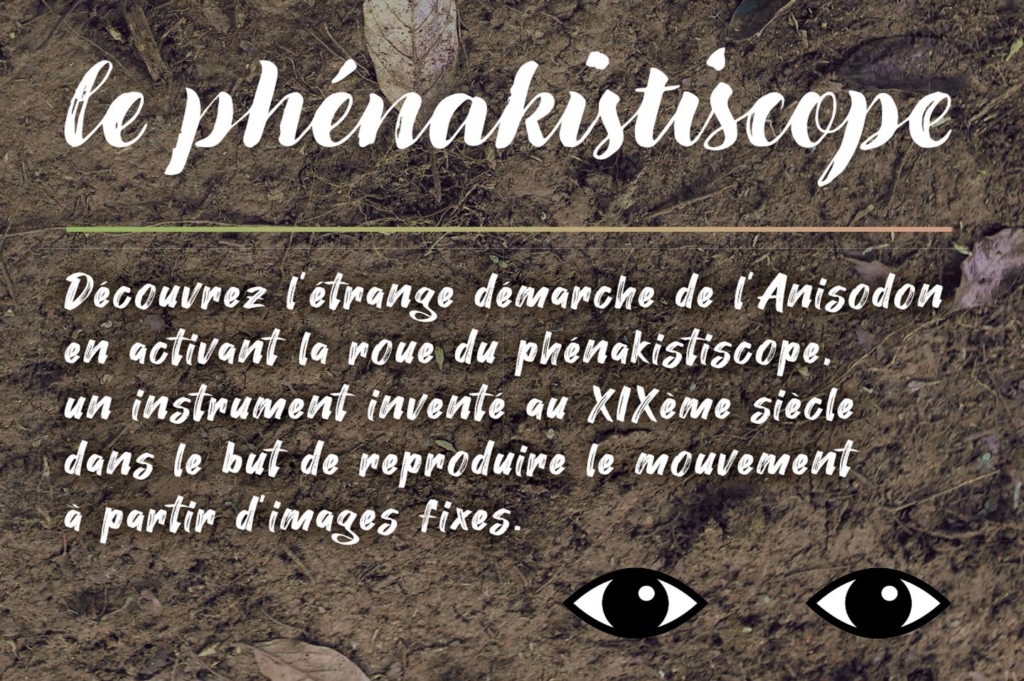 phenakistiscope mediationmusee 0003 calque 4
