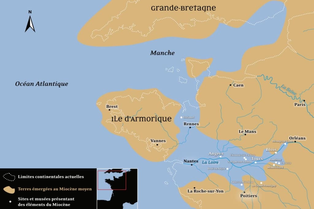 cartographie interactive kinect 0001 objet dynamique vectoriel