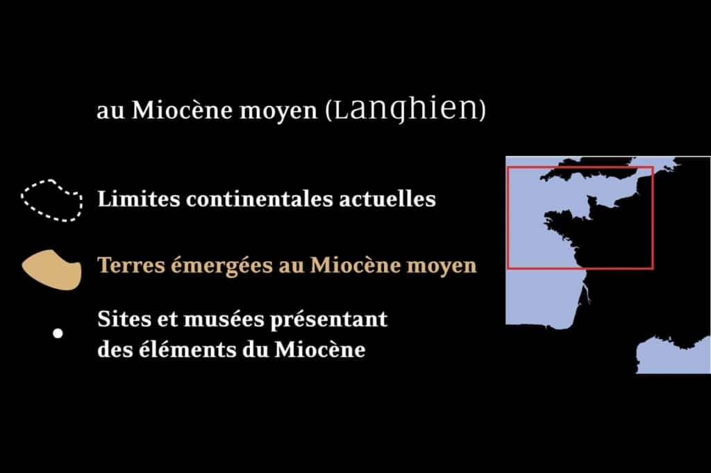 cartographie interactive kinect 0002 objet dynamique vectoriel