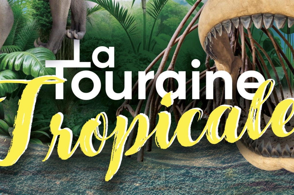 dessin anime video tourainetropicale 0000 calque 18