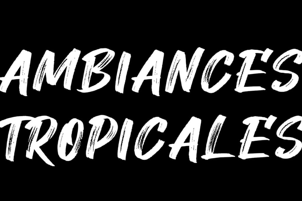 dessin anime video tourainetropicale 0002 calque 15