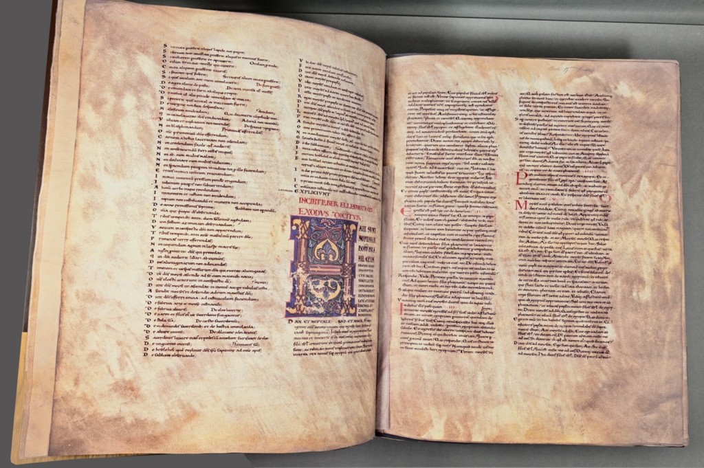 biblestyrieix 6 fac simile tyvek